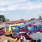 Bus operators Local Government in talks