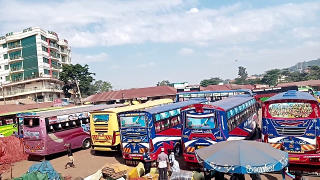 Bus operators Local Government in talks