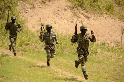 Uganda: UPDF Starts Campaign to Plant 300,000 Trees in Eastern DRC to Replenish Environment