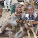 Unchecked Animal Bites Plague Luwero Residents as Officials Falter in Response