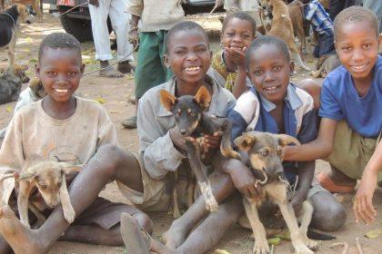 Unchecked Animal Bites Plague Luwero Residents as Officials Falter in Response