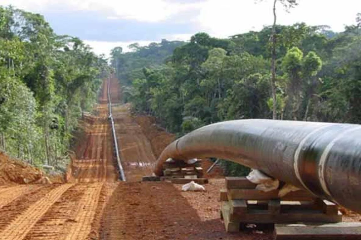 Chinese Lenders Step In to Finance Uganda's Crude Oil Pipeline