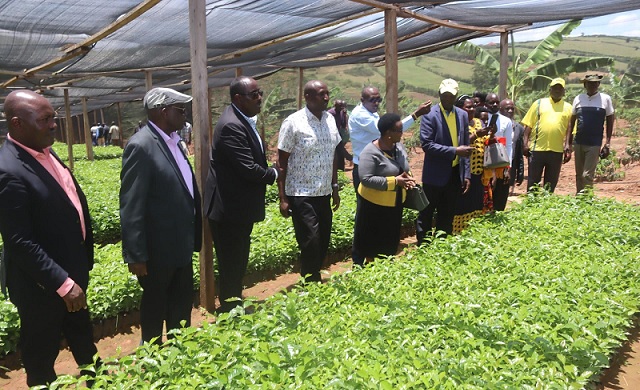 Government launches big Arabica Coffee growing campaign in Rukiga