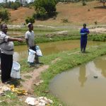 Fish Farmers Voice Concerns About Soaring Feed Prices