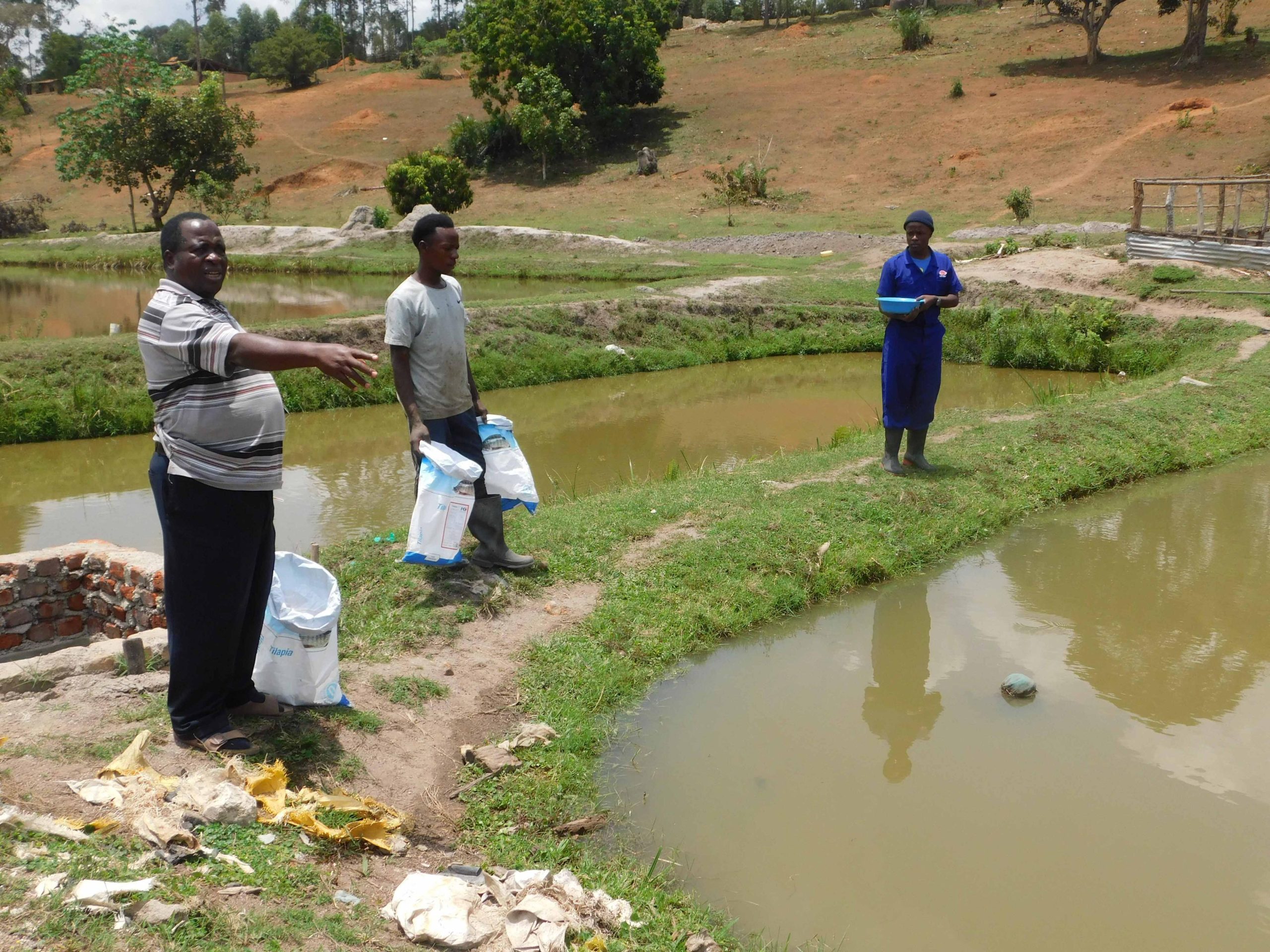 Fish Farmers Voice Concerns About Soaring Feed Prices