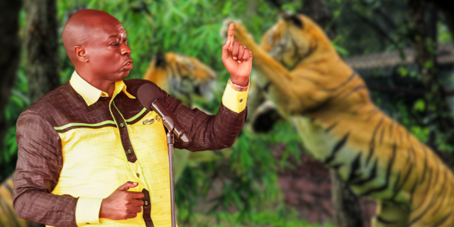 Is There a Chance Gachagua Keeps Tigers in a Private Zoo?