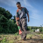 Japan Turns to Centuries-Old Human Waste Fertilizer Practice Amidst Price Hikes