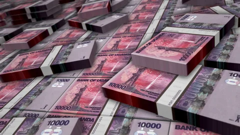 Nakasongola officials stuck with Shs250m road cash over guidelines