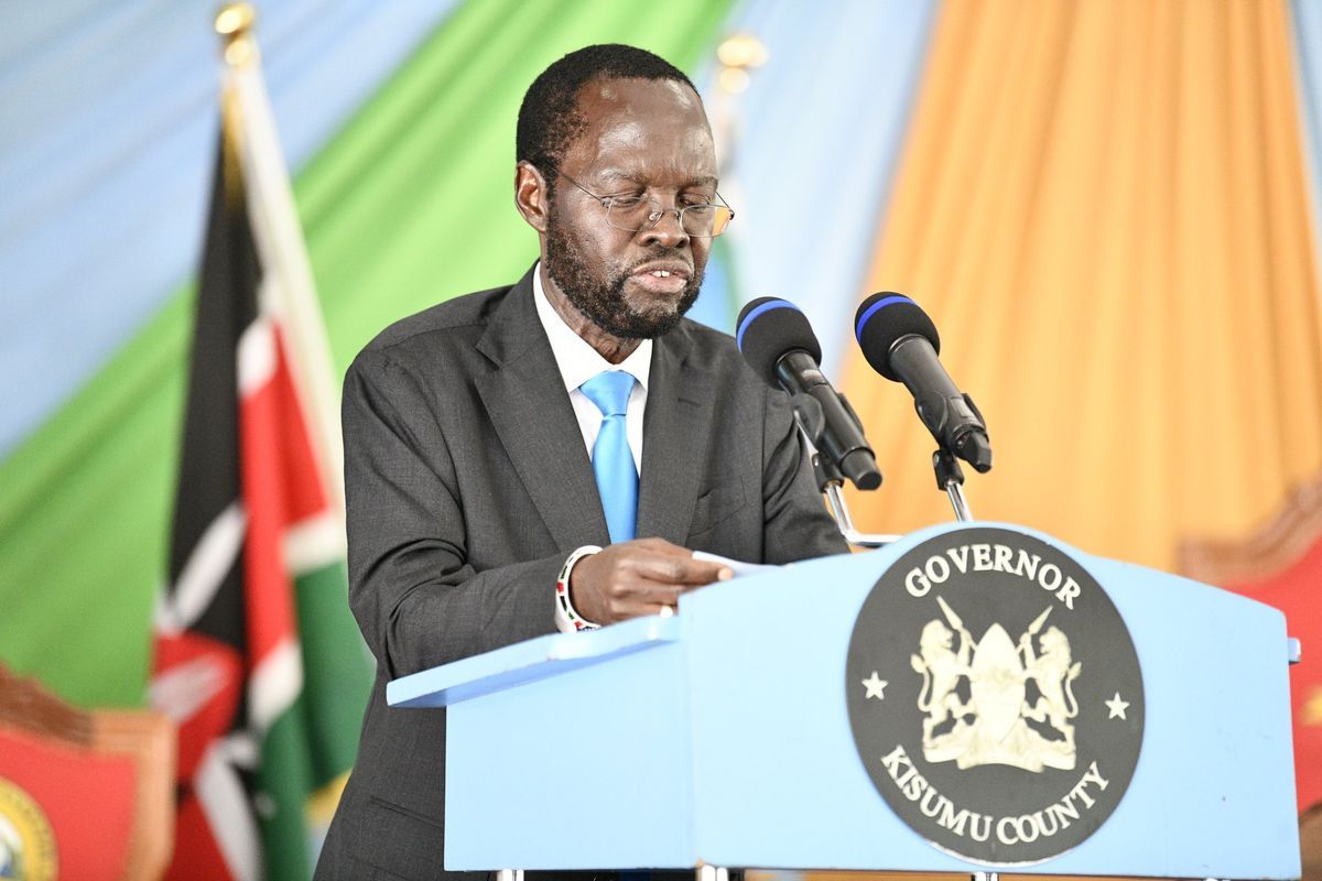 Governor Nyong'o expressed his gratitude for the appointment and pledged to do his best in advancing the goals and objectives of the UN as a member of the advisory group.