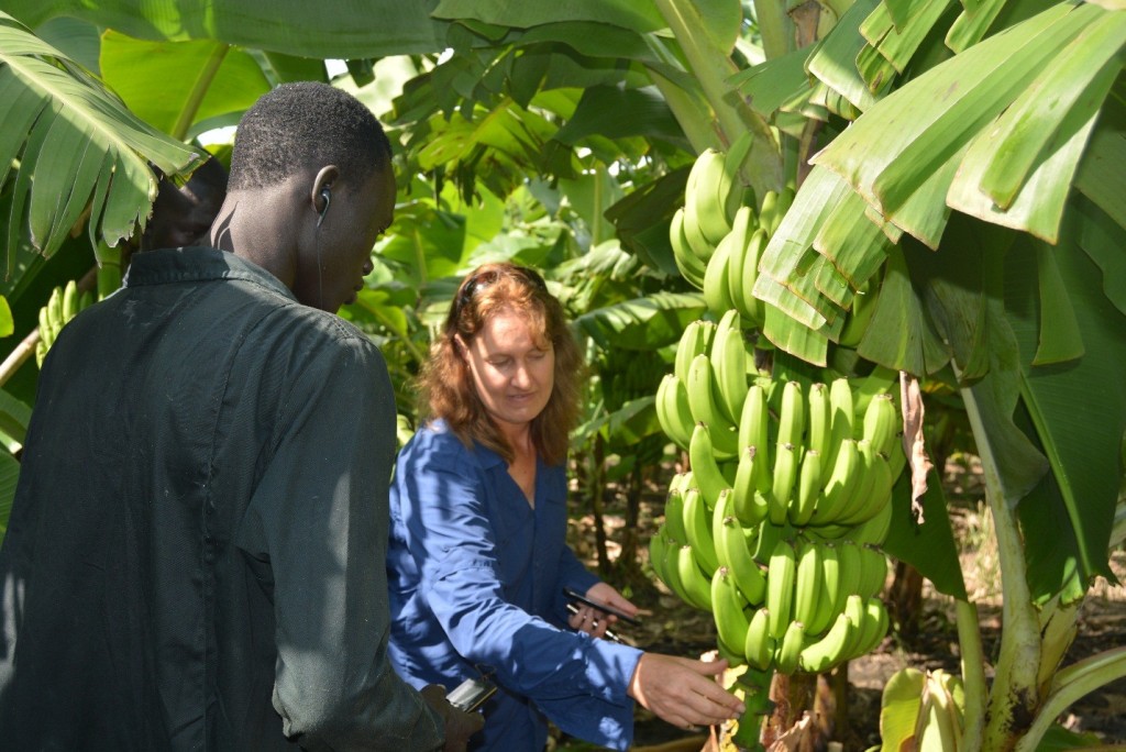 Food Prices Push September Inflation Up in Uganda