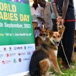 Rabies Remains a Challenge in Uganda, Despite Preventive Measures