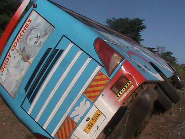 Road Accident Involving Bus and Elephant Results in Fatality and Injuries