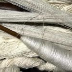 Silkworm Project Faces Uncertain Future Due to Government Funding Halt