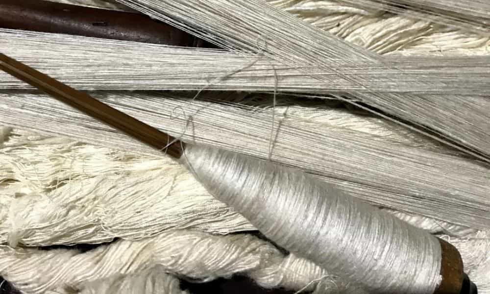 Silkworm Project Faces Uncertain Future Due to Government Funding Halt