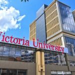 Victoria University's Troubling Role in Cindy vs. Sheebah Battle