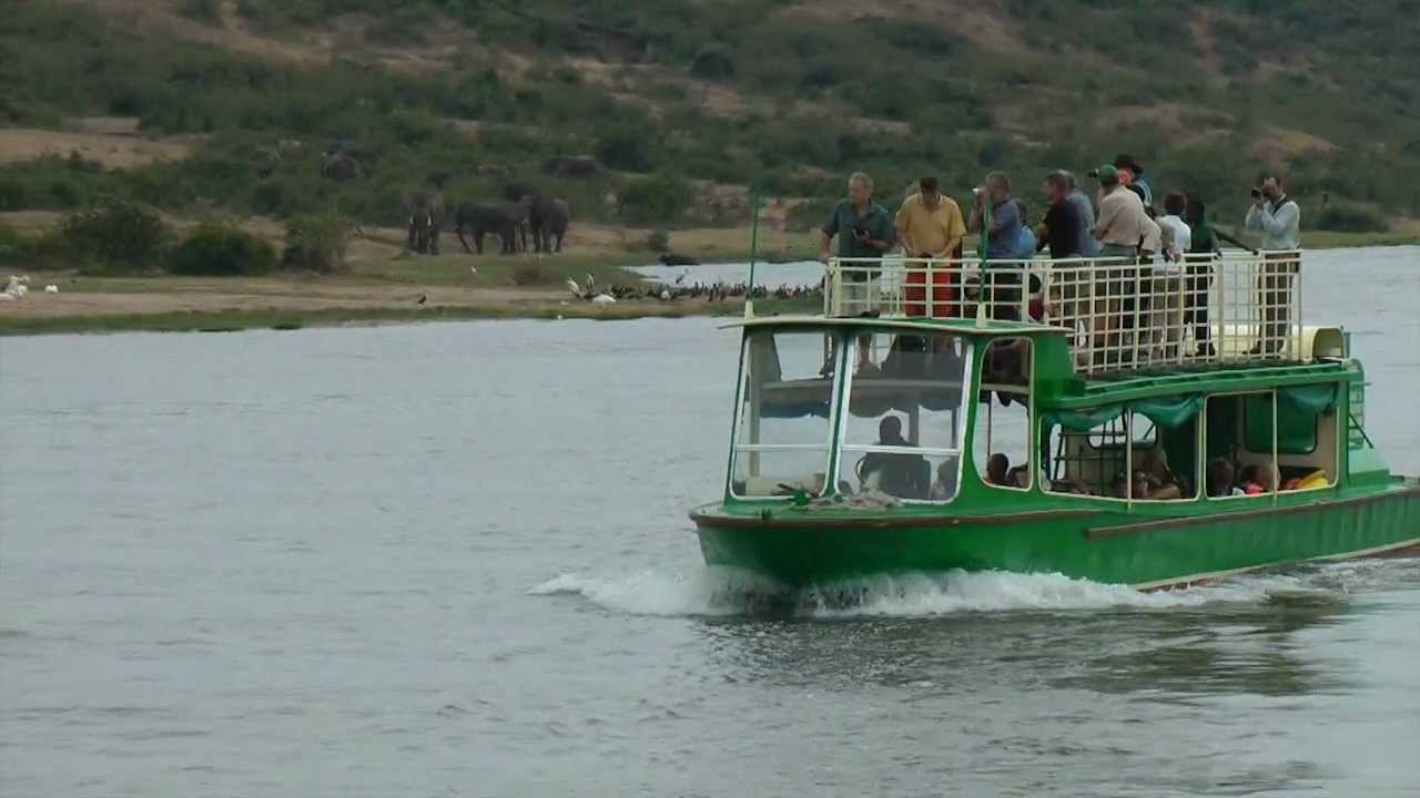 Tour Operators Accused of Involvement in Uganda Wildlife Authority Theft