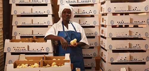Biyinzika Poultry International Limited