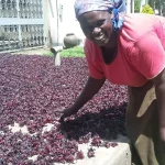 Busoga Women Farmer
