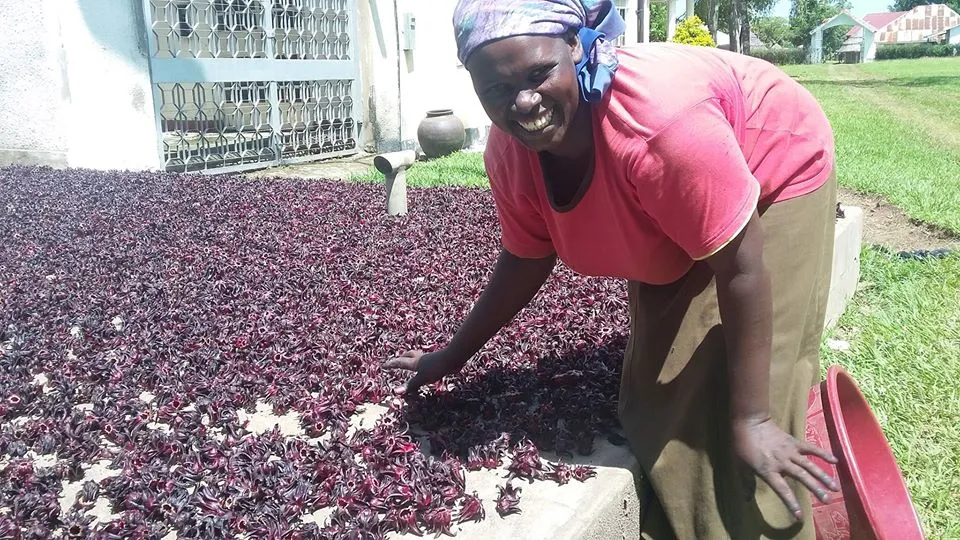 Busoga Women Farmer