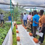 Campaign to Transform Masaka Region into Commercial Farming Hub