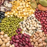 Counterfeit seeds law in Uganda - Farmers' Plight: The Struggle Against Counterfeit Seeds in Uganda