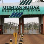 Court of Appeal Suspends Jail Orders for Sarrai Group in Mumias Sugar Dispute