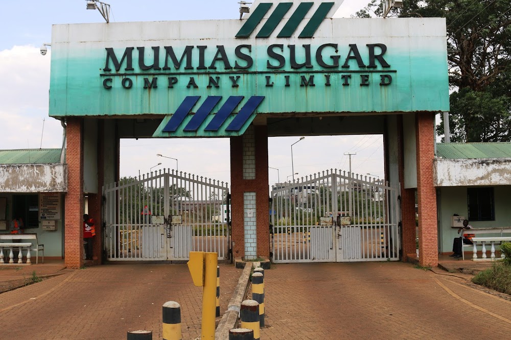 Court of Appeal Suspends Jail Orders for Sarrai Group in Mumias Sugar Dispute