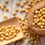 Dry Soybeans