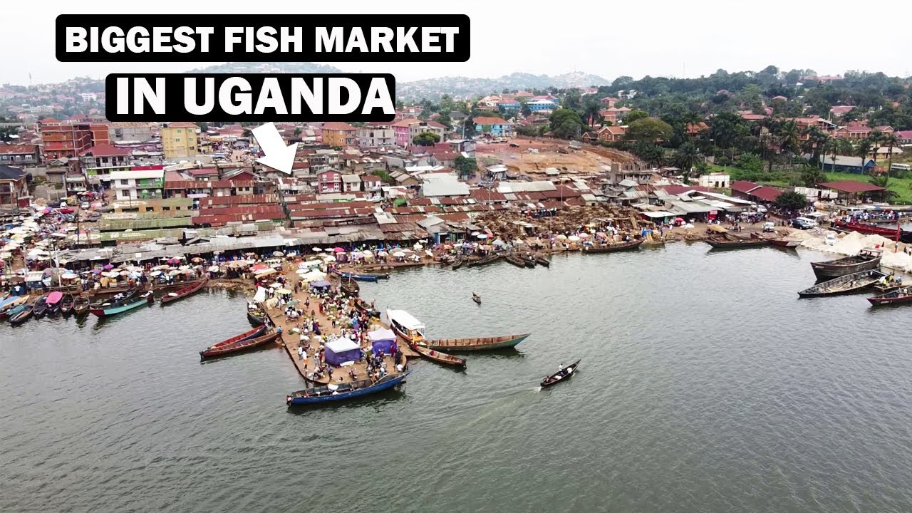 Gaba Market