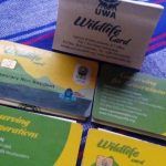 Gorilla Permit Scandal Tour Operators Fear Business Losses