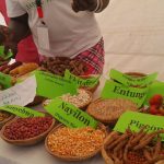 Indigenous Ugandan Foods and Seeds