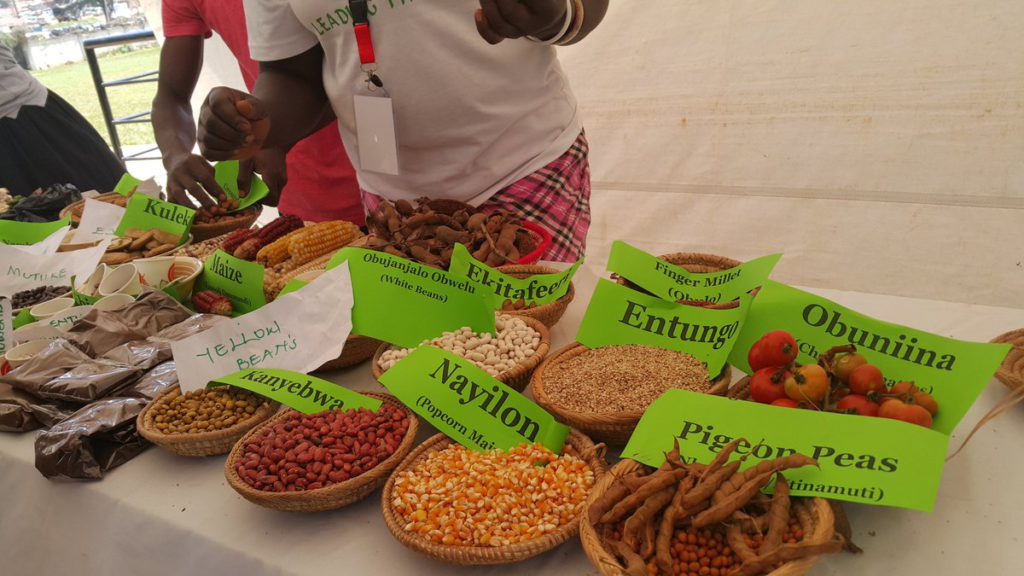 Indigenous Ugandan Foods and Seeds