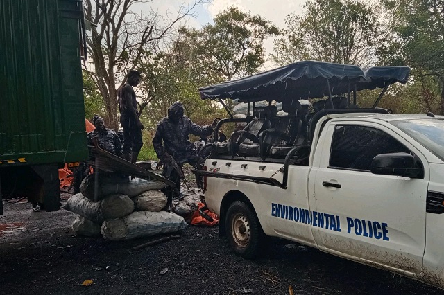 Karamoja Charcoal Smuggling Thwarted 395 Bags Intercepted, Culprits in Custody