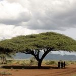 Karenga