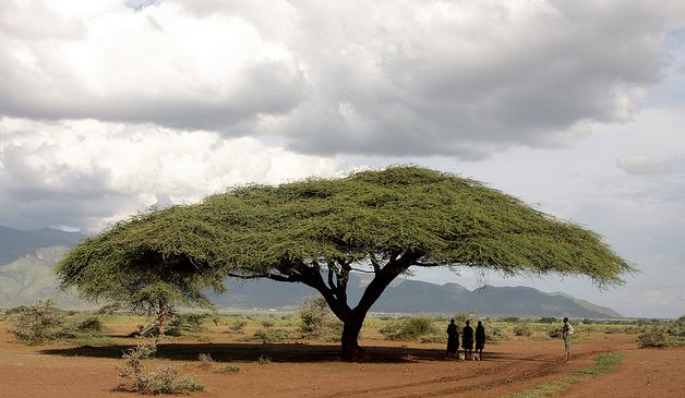 Karenga