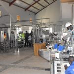 Kayunga Farmers Await Resolution as Pineapple Factory Opening Stalls