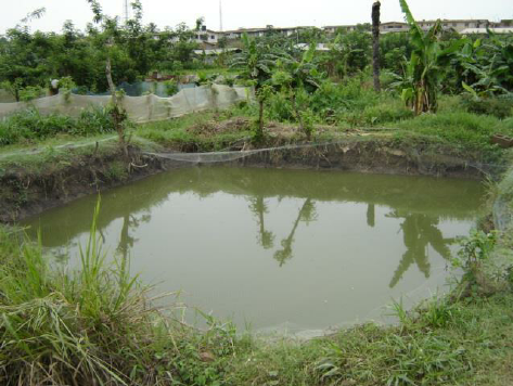 Kayunga: Prison Warder Drowns While Stealing Fish in Kayunga Pond