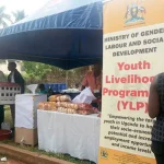 MPs Recommend Loan Forgiveness for YLP and UWEP Due to Poor Recovery