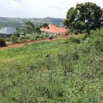Machete Attack Erupts Amidst Land Disagreement in Mukono