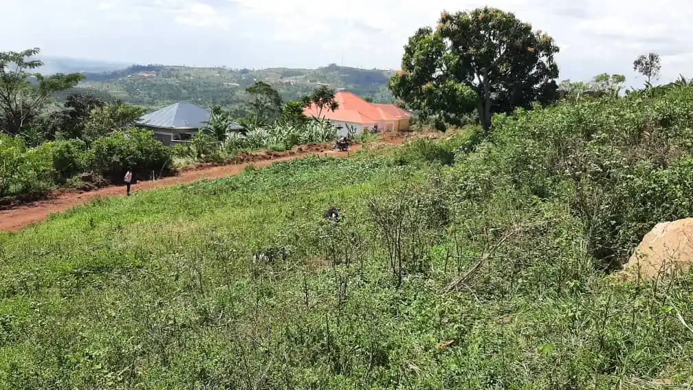 Machete Attack Erupts Amidst Land Disagreement in Mukono