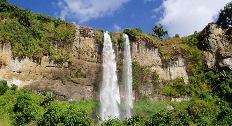 UWA Rangers Shoot Three in Mt. Elgon National Park