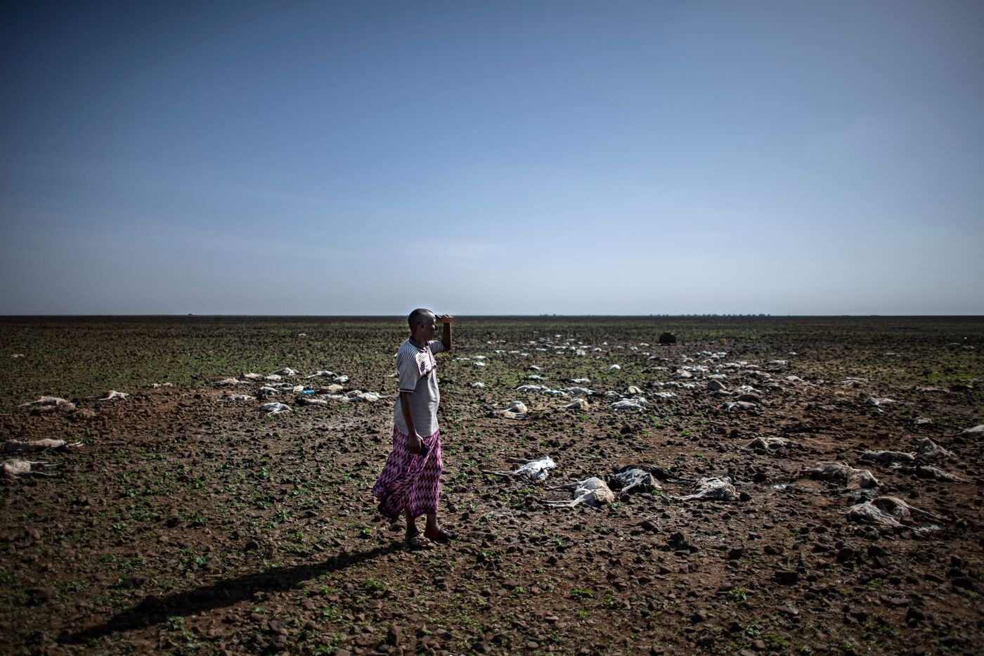 Parched land during a devastating drought in Kenya in 2022.Photographer Tony Karumba
