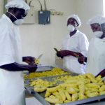 Presidential Initiative on Banana Industrial Development