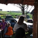 Queen Elizabeth National Park Declared Safe and Open for Visitors by UWA