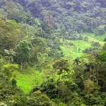 Makerere University Students Lead Environmental Restoration Efforts in Kiboga District