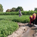 Mixed Impact: A Closer Look at the $540,000 Rural Women Empowerment Project in Uganda