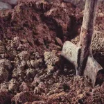 Shocking Nighttime Exhumations Lead to Eight Arrests in Wakiso