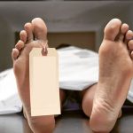 The Dead are Alive