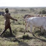 Kenyan MP Seeks Release of Kenyans Held in Uganda