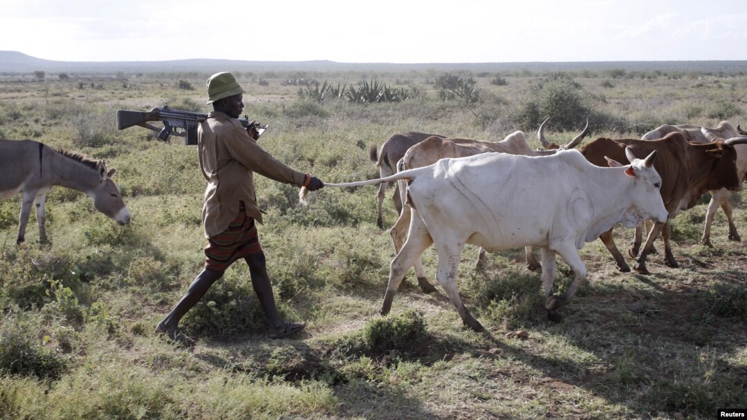 Kenyan MP Seeks Release of Kenyans Held in Uganda